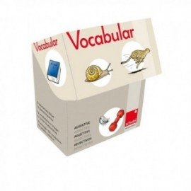 Vocabular Adjectifs - boîte de cartes
